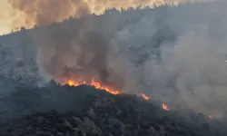 Kaş'taki orman yangını ikinci gününde: Havadan ve karadan müdahale sürüyor