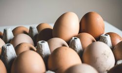 Salmonella alarmı: En az 306 kişi hastalandı, yumurtalar acil olarak geri çağrıldı