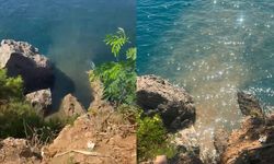 Antalya’da denize karışan atık su için savcılık soruşturması